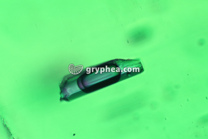 Inclusion émeraude LPA x40 - gryphea.com